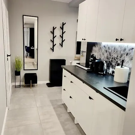 Apartament Chopina Iii
